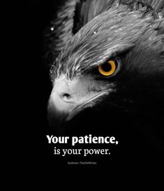 a black and white photo with an eagle's head in the center, saying your patience is your power