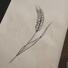 a drawing of a stalk of wheat on top of a piece of paper next to a pen