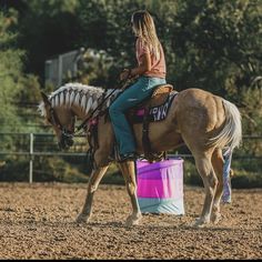 Palomino Barrel Horse, Barrel Racer Aesthetic, Pony Photography, Inspirational Horse Quotes, Dream Horse Barns, Rodeo Cowboys