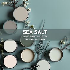 sea salt home paint palette by sherylin williams on the wall with flowers and branches