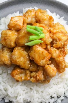 chicken and rice on a plate with green garnishes over white rice in a gray bowl