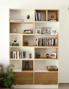 a bookshelf filled with lots of books next to a potted plant on top of a hard wood floor