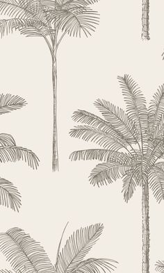 a wallpaper with palm trees on it