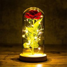 a red rose in a glass dome with fairy lights on the bottom and below it