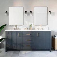 a bathroom with two sinks, mirrors and a plant in the middle of the room