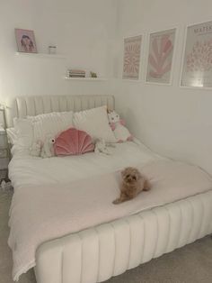 a small dog sitting on top of a white bed in a room with pictures above it