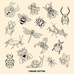 bug flash 🐜🕷️🐞🪲 I’ve decided to do two separate bug flash sheets as I had too many ideas and then you lovely lot gave me loads more ideas when I asked on my stories 😅 so keep your eyes pealed for the second sheet soon to come too! all available for handpoke, in black or colour. swipe along for colour samples! message or use my booking form to enquire. I always do deals when you book more than one design in a session. weekends and evenings available too :) @harmlesstattoo Braintree, Essex ... Small Doodle Tattoo Ideas, Cute Bug Tattoos For Women, Ladybug With Hearts Tattoo, Fall Tattoo Flash, Bug Lollipop, Tattoo Flash Sheet Ideas, Cute Bug Tattoo, Bug Tattoos For Women, Bug Tattoo Design