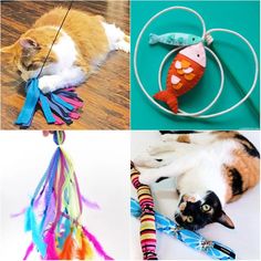 four different pictures with cats and toys on them