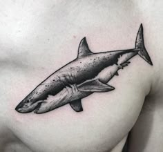 a man's chest with a shark tattoo on it