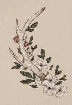 a drawing of an antler with flowers on it's back end and branches