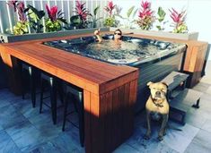 a dog standing next to a hot tub on top of a wooden table with benches