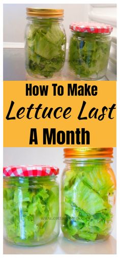 lettuce in jars with the words how to make your lettuce last a month