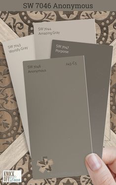 a hand is holding three different shades of gray and white paint swatches in front of an ornate background