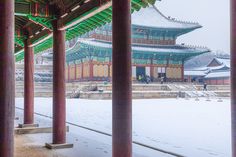 'Snowy scene in royal Palace' Changdeokgung Royal Palace, Seoul Korea Snowy Scene, Random Images, Travel South, Royal Palace, Seoul Korea, South Korean, Fairy Tale