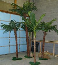 three palm trees sitting in the middle of a room next to a blue wall and door