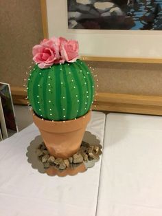 a green cactus with pink flowers sitting on top of rocks