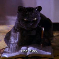 a black cat sitting on top of an open book with the caption dear diary