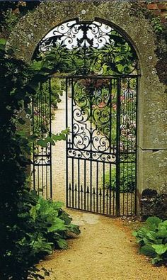 Gorgeous Garden Gates نباتات منزلية, Wrought Iron Gates, The Secret Garden, Iron Gates, Fence Gate, Garden Gate, Iron Gate, Garden Doors, Gorgeous Gardens