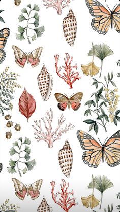 watercolor butterflies and plants on a white background