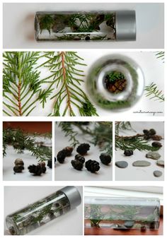 the process of making pine cones and rocks in a bottle