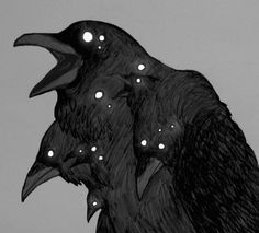 two black crows with glowing eyes and beaks on their heads are facing each other