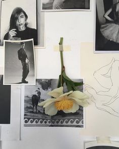 a bunch of pictures are hanging on the wall next to a flower and some scissors