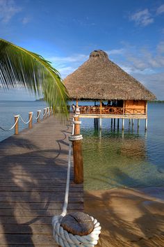 a dock with a thatched roof and palm tree