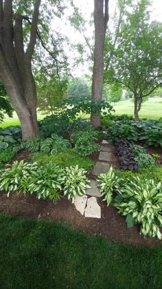 a garden with green plants and trees in the back ground, surrounded by dirt path