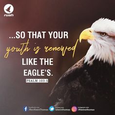 an eagle with the words, so that your youth is served like the eagle's