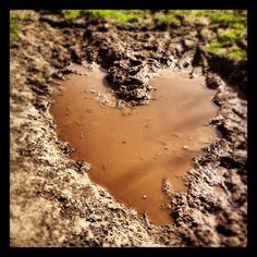 a heart shaped hole in the ground with mud and grass around it, that is muddy