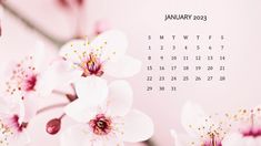 a calendar with pink flowers in the middle and white petals on each side, for january