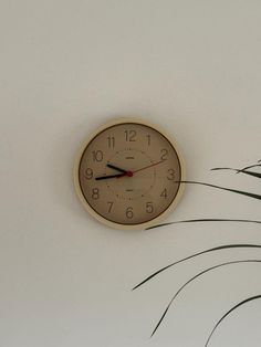 a clock that is on the wall next to a plant