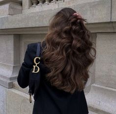 Healthy Shiny Hair, Brown Hair Looks, Brown Hair Inspo, Long Brown Hair, Shiny Hair, All Hair Types, Mode Inspiration