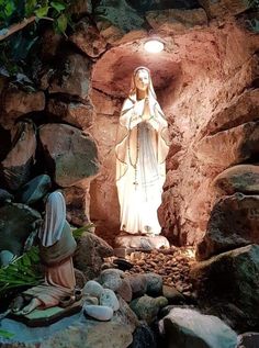 a statue of the virgin mary in a cave with rocks and plants around it at night