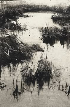 black and white photograph of swampy area with grass in the foreground, looking down at water