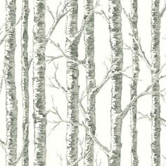 a drawing of trees with no leaves on them