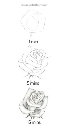 three roses are shown with the measurements for each flower, and one is drawn in pencil