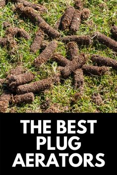 the best plug aerators for lawn and garden use are in this article