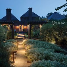 a walkway lit up at night in front of a house