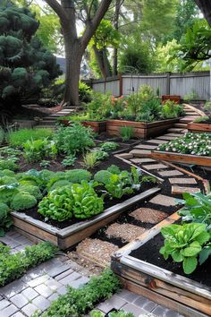 A lush backyard garden with neatly organized raised beds growing various vegetables and flowers, framed by a large tree and a wooden fence. Vegetable Garden Backyard, Backyard Greenhouse Ideas, Backyard Vegetable Garden Ideas, Garden Backyard Ideas, Small Vegetable Garden Ideas, Small Vegetable Garden, Small Garden Inspiration, Backyard Vegetable Garden, Dream Backyard Garden