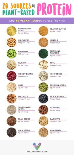 the top 20 plant based proteins that are high in protein and low in sugar