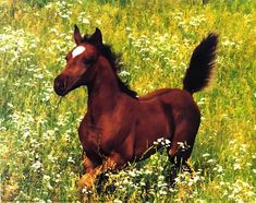 a brown horse standing on top of a lush green field filled with wildflowers