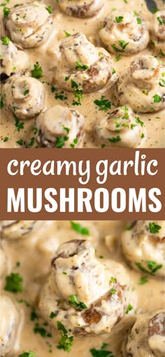 creamy garlic mushrooms with parsley on top