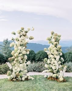 two tall white flowers sitting on top of a lush green field next to a forest