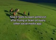 horses running in a field with the caption how it feels to open pinterest after frying ur brain on every other social media app