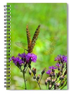 two butterflies sitting on top of purple flowers in front of green background spiral notebook journal