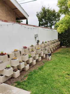 there are many cement planters on the side of this house that is filled with succulents