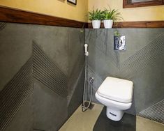 a white toilet sitting in a bathroom next to a plant on top of a wall