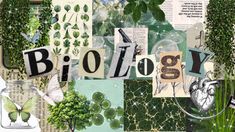 the words bio / ecology are surrounded by images of plants and insects