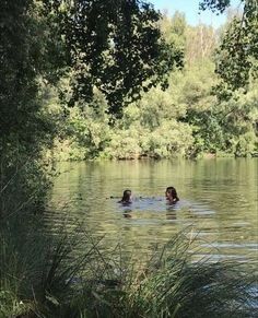 two people swimming in a lake surrounded by trees